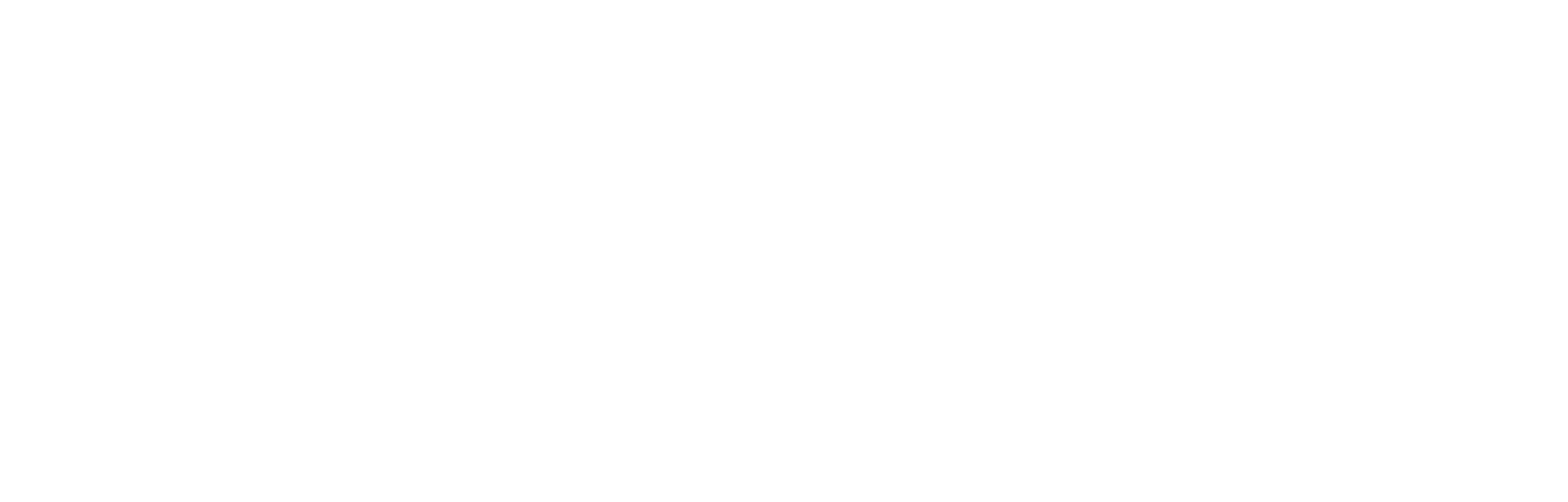 BLive Logo